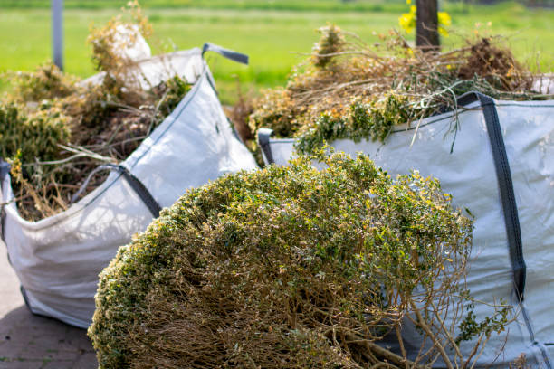 Best Office Junk Removal  in Milan, TN